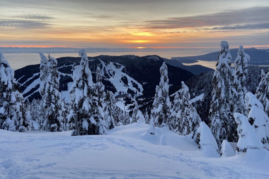 サイプラスマウンテン