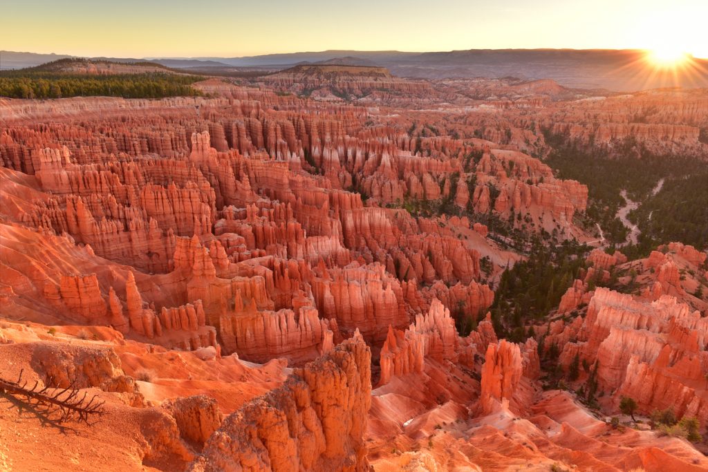 ブライスキャニオン国立公園（Bryce Canyon National Park ）