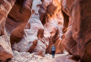 バックスキン・ガルチ（Buckskin Gulch）A female hiker walks through the majestic Buckskin Gulch, a deep and narrow slot canyon on the Arizona / Utah border. The towering sandstone walls, sculpted by erosion, create a sense of awe - USA