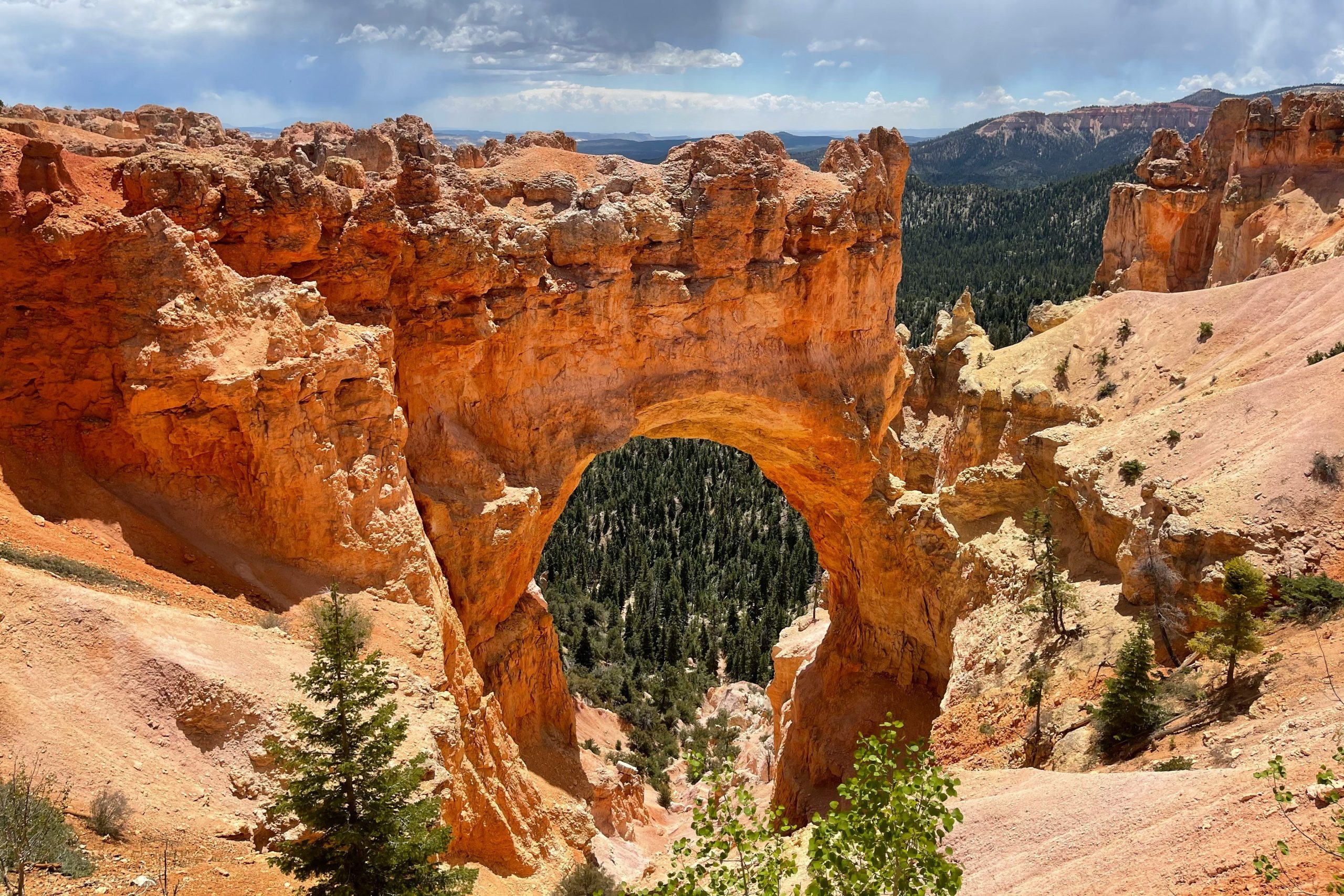ナチュラル・ブリッジ（Natural Bridge）