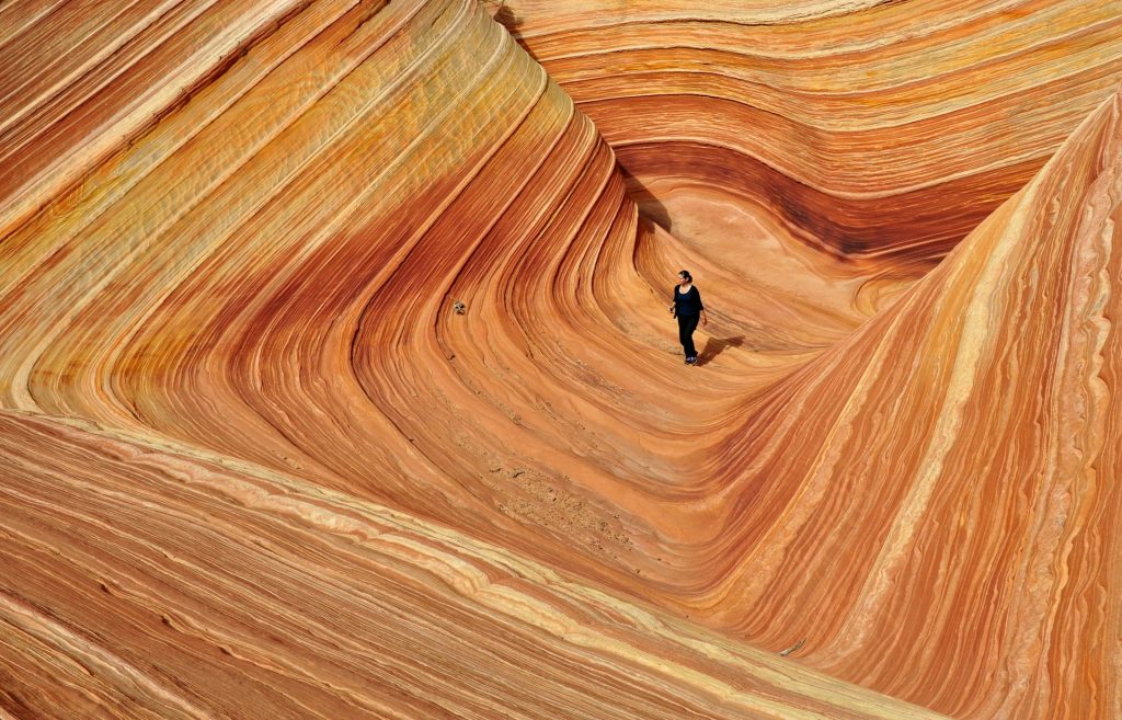 ザ・ウェーブ
The Wave