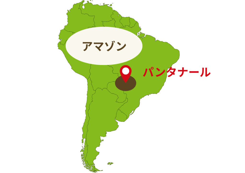 パンタナールの位置