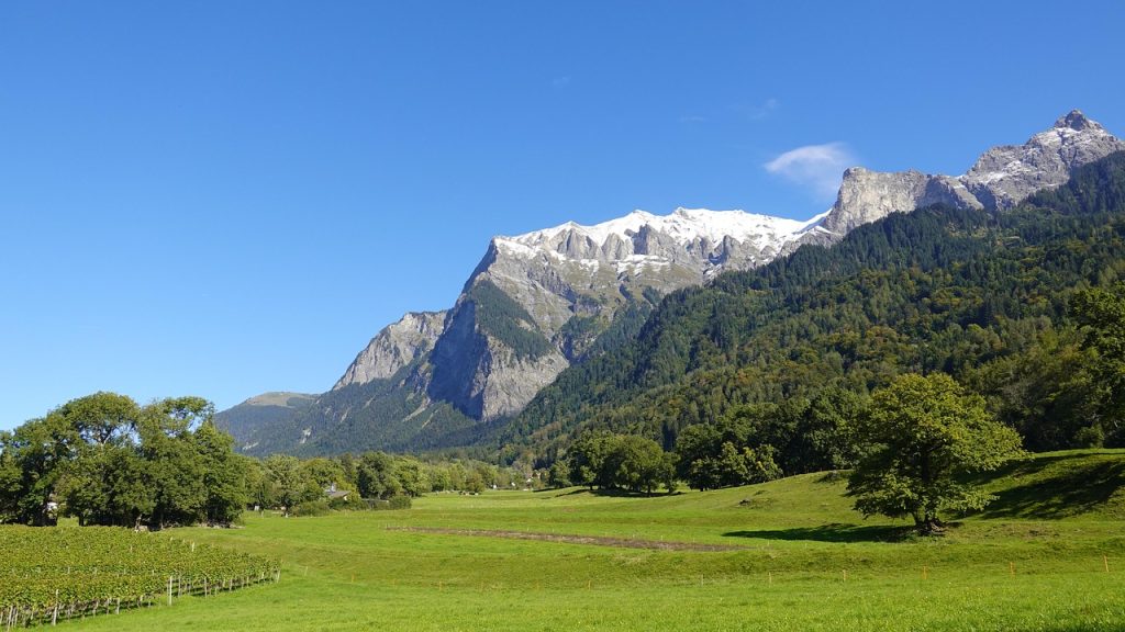 マイエンフェルト(Maienfeld)